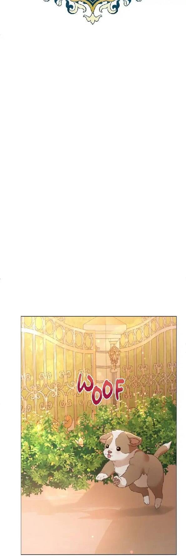 Người Không Mời Mà Đến Chapter 81 - 41