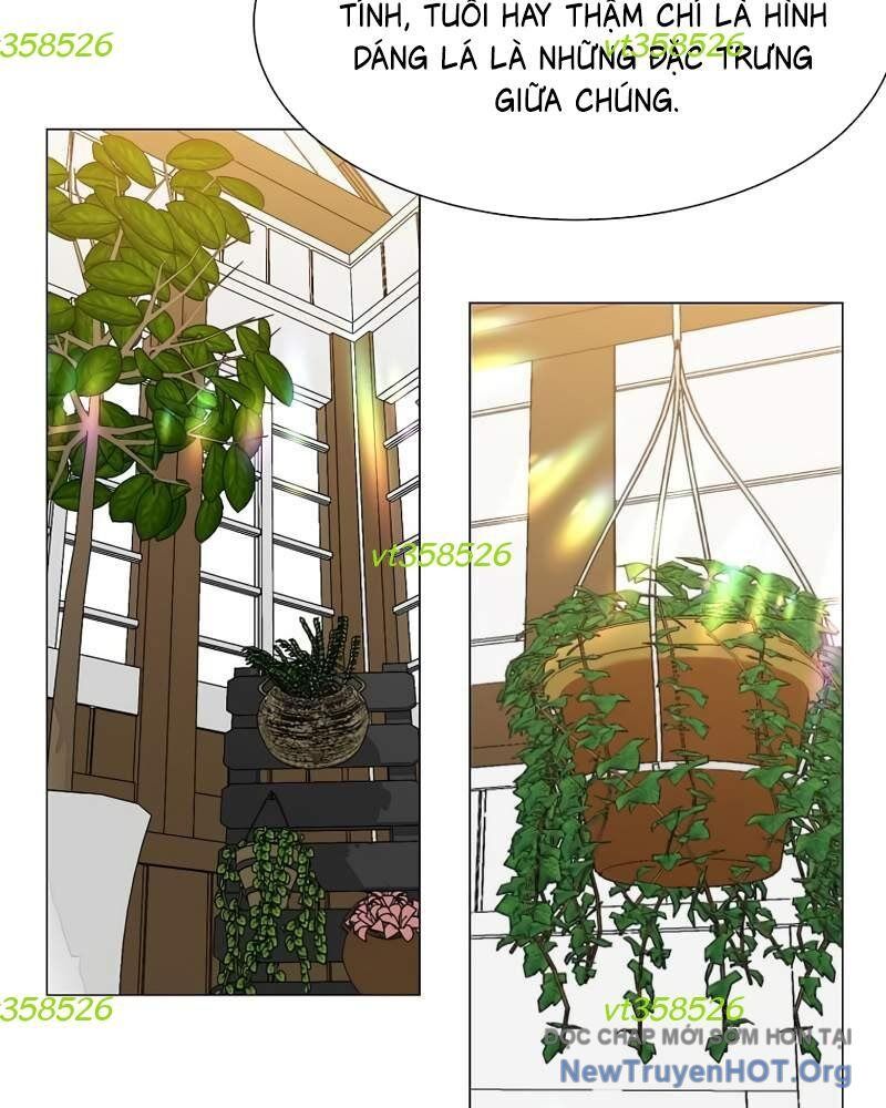 Estio Chapter 62 - 90