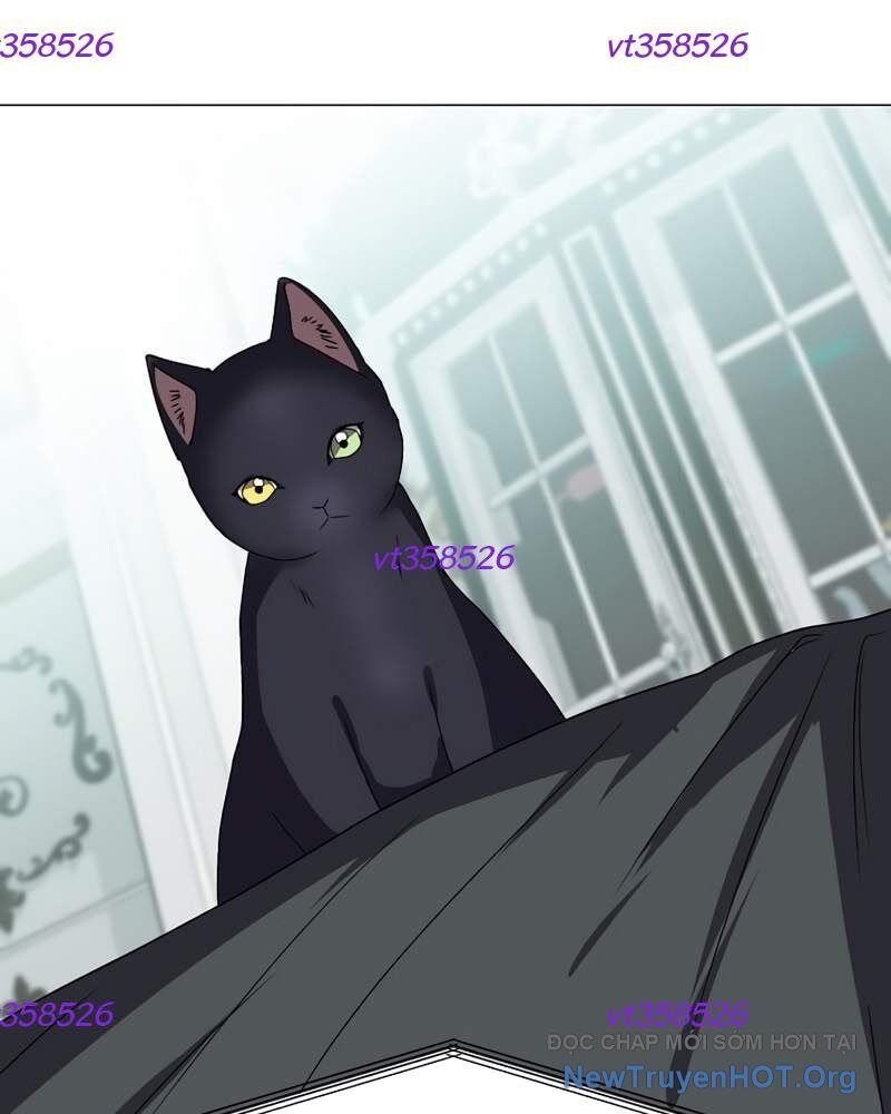 Estio Chapter 64 - 90