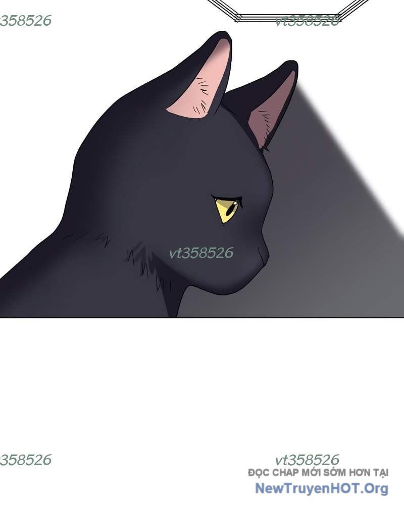 Estio Chapter 64 - 92