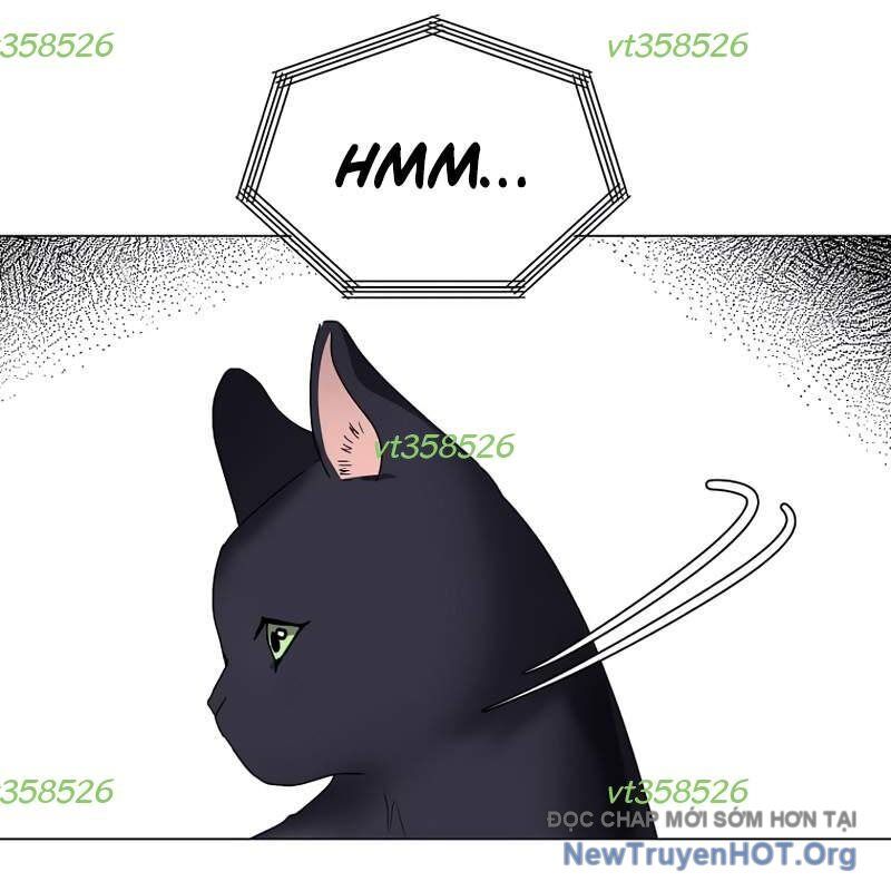 Estio Chapter 64 - 95