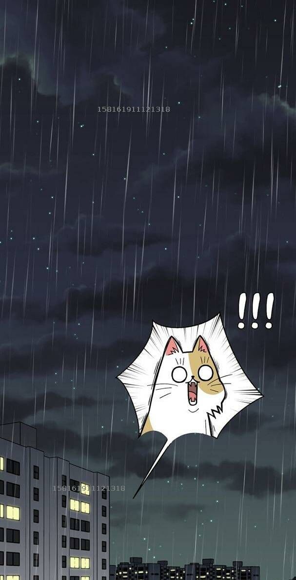 Khuôn Mặt Thiên Tài Chapter 1.2 - 50