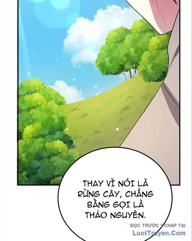 Tôi May Mắn Triệu Hồi Được Tinh Linh Hộ Vệ Hạng 10 Chapter 32 - 8