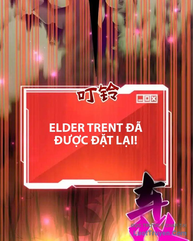 Tôi May Mắn Triệu Hồi Được Tinh Linh Hộ Vệ Hạng 10 Chapter 33 - 38