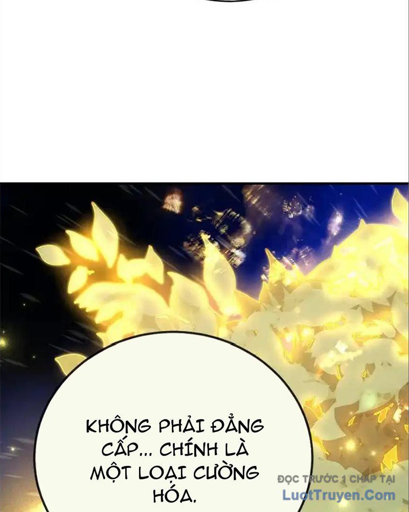 Tôi May Mắn Triệu Hồi Được Tinh Linh Hộ Vệ Hạng 10 Chapter 33 - 49