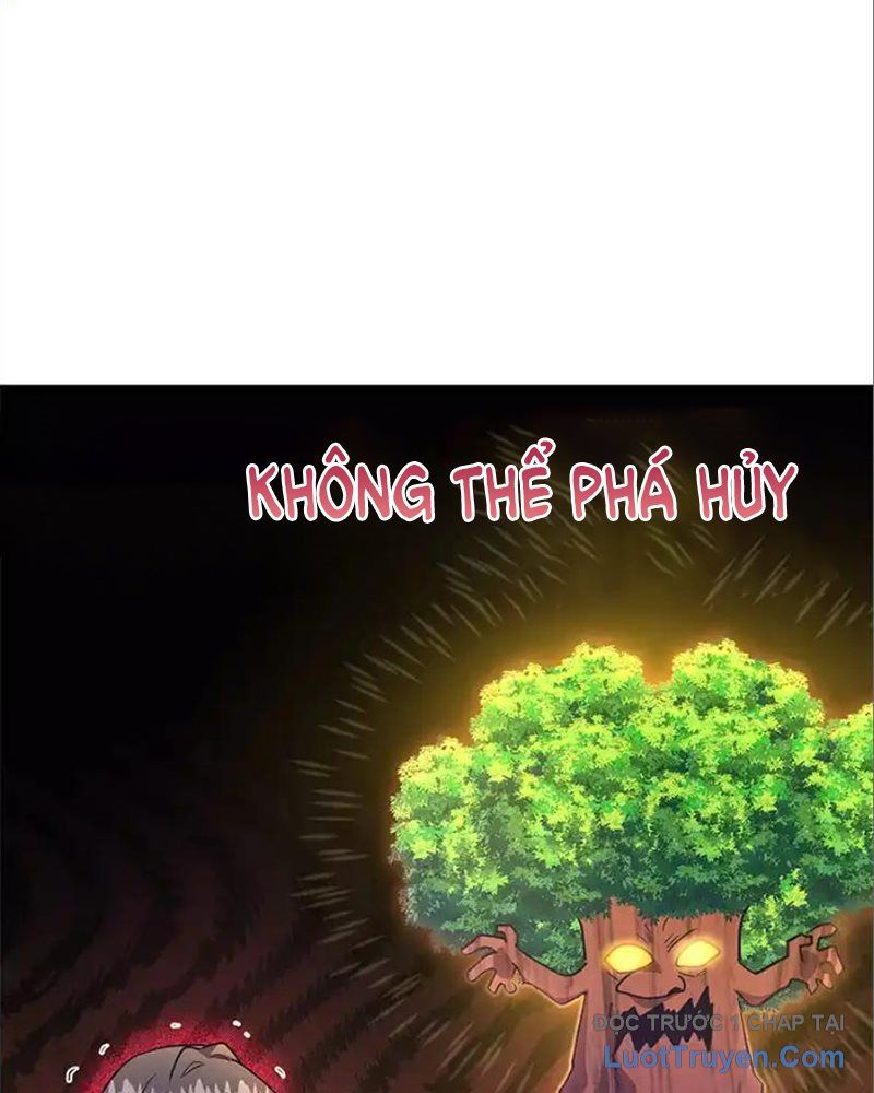 Tôi May Mắn Triệu Hồi Được Tinh Linh Hộ Vệ Hạng 10 Chapter 33 - 52