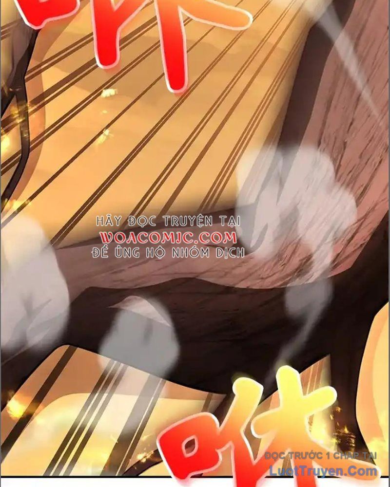 Tôi May Mắn Triệu Hồi Được Tinh Linh Hộ Vệ Hạng 10 Chapter 33 - 71
