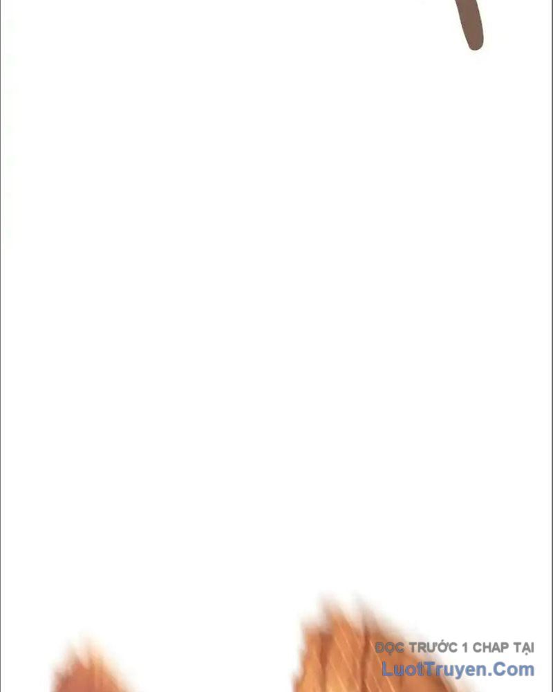 Tôi May Mắn Triệu Hồi Được Tinh Linh Hộ Vệ Hạng 10 Chapter 33 - 86