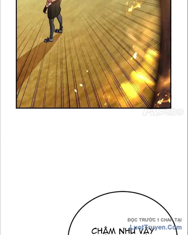 Tôi May Mắn Triệu Hồi Được Tinh Linh Hộ Vệ Hạng 10 Chapter 33 - 91
