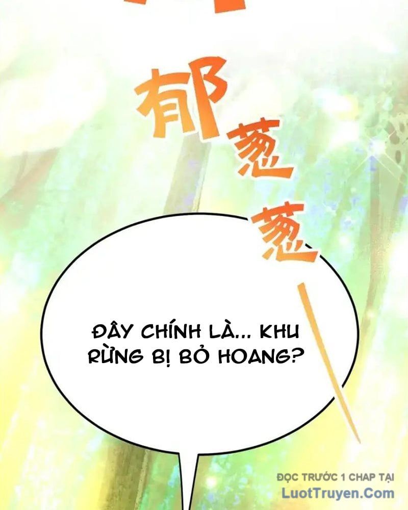Tôi May Mắn Triệu Hồi Được Tinh Linh Hộ Vệ Hạng 10 Chapter 35 - 5