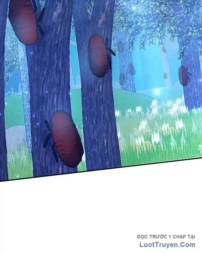 Tôi May Mắn Triệu Hồi Được Tinh Linh Hộ Vệ Hạng 10 Chapter 36 - 25