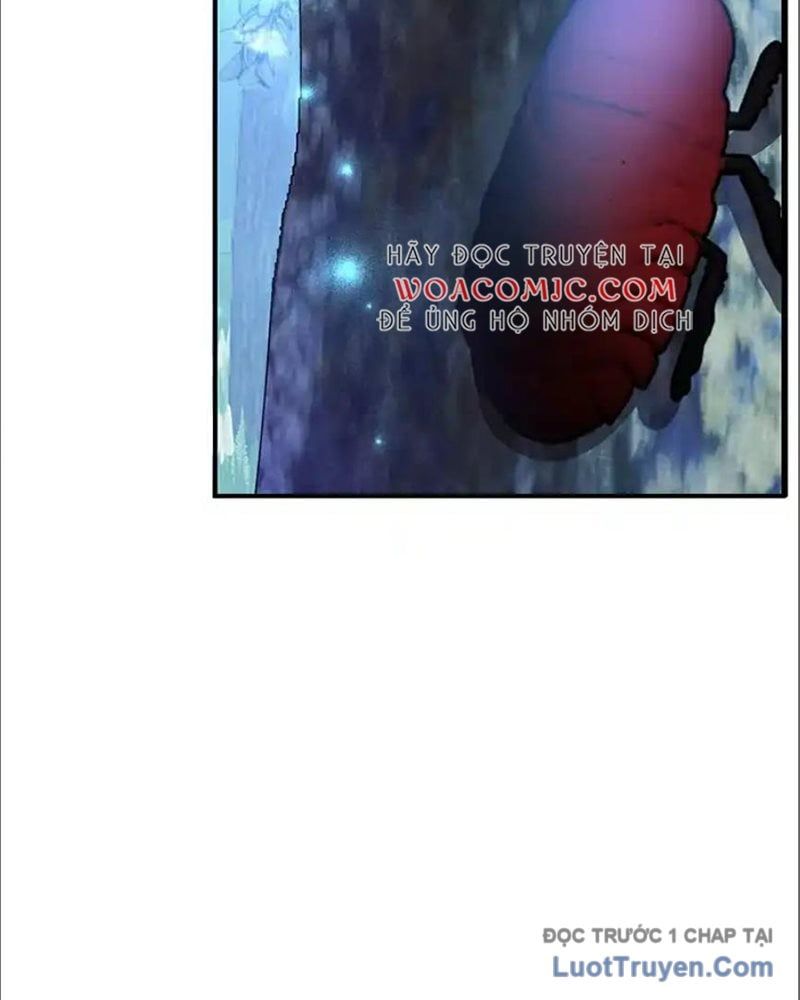 Tôi May Mắn Triệu Hồi Được Tinh Linh Hộ Vệ Hạng 10 Chapter 36 - 53