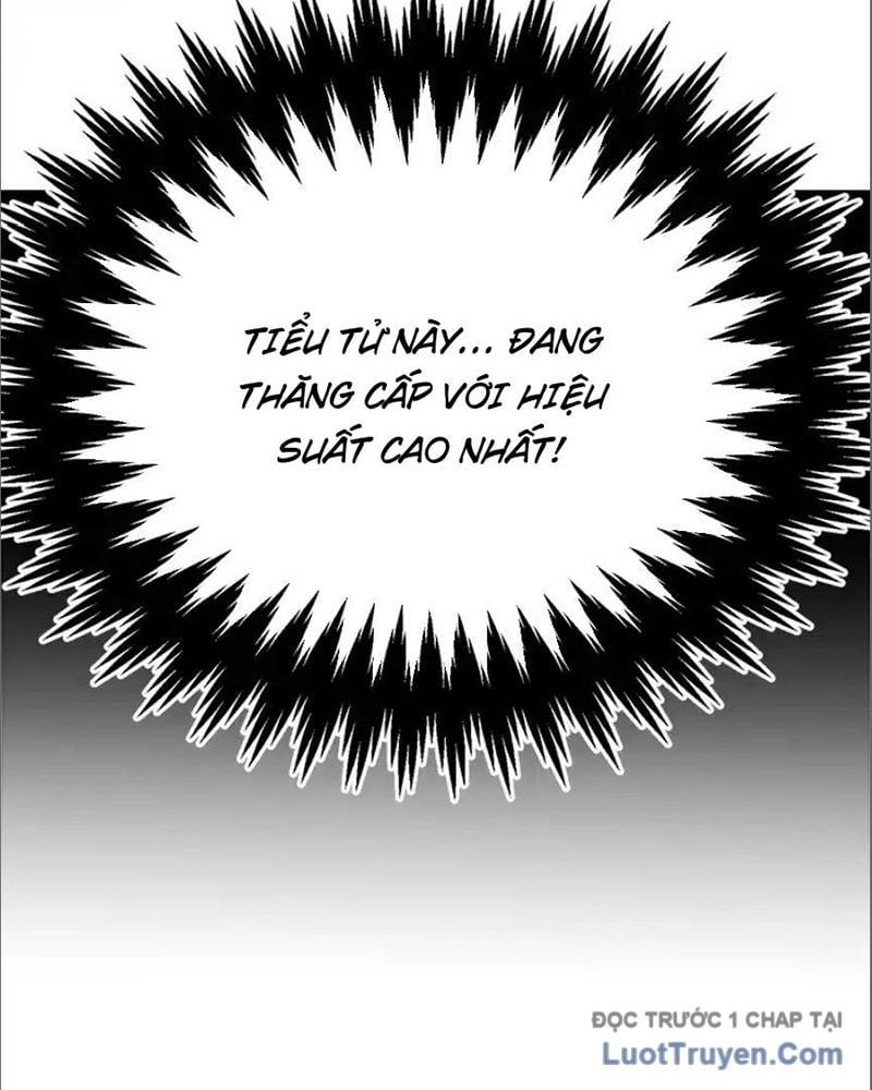 Tôi May Mắn Triệu Hồi Được Tinh Linh Hộ Vệ Hạng 10 Chapter 36 - 86