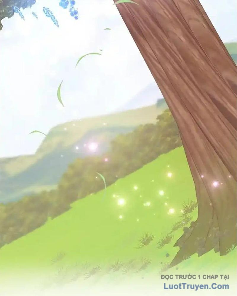 Tôi May Mắn Triệu Hồi Được Tinh Linh Hộ Vệ Hạng 10 Chapter 37 - 101