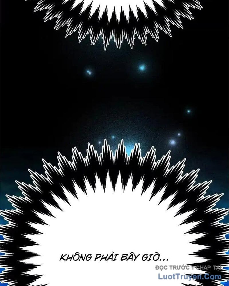 Tôi May Mắn Triệu Hồi Được Tinh Linh Hộ Vệ Hạng 10 Chapter 37 - 111