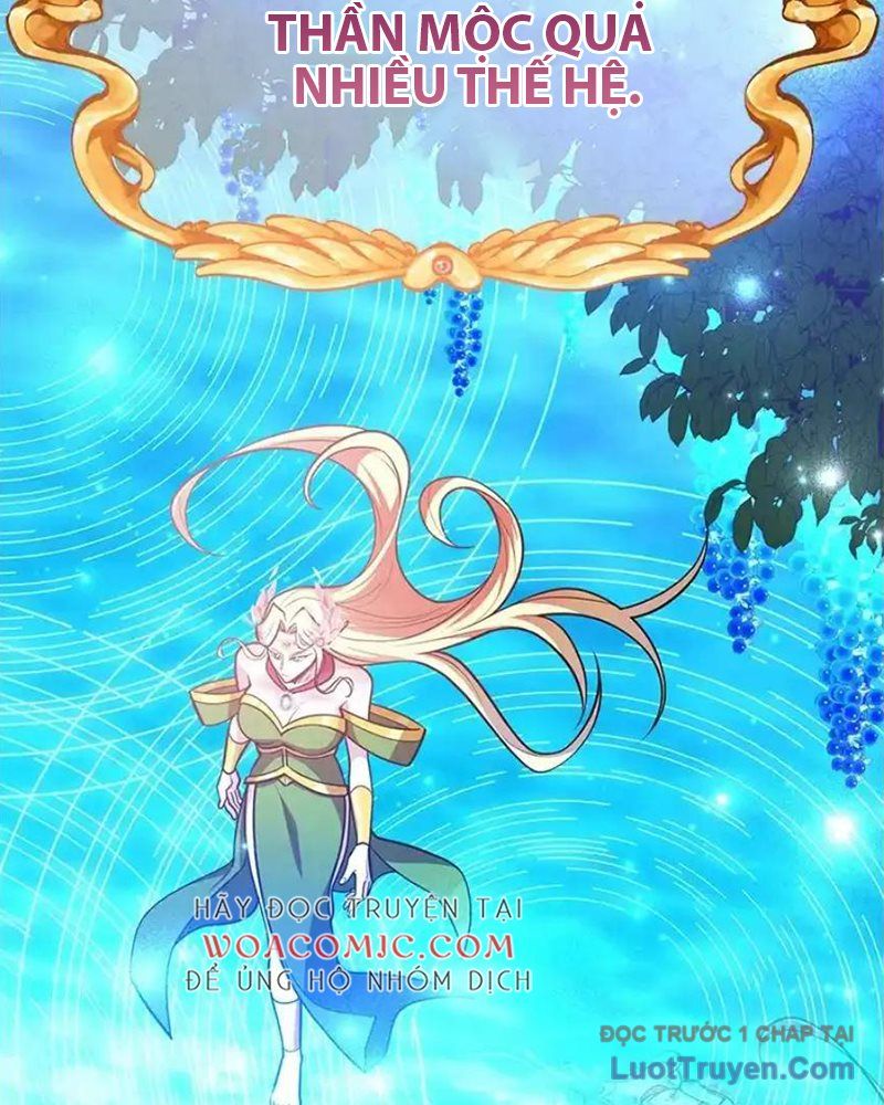 Tôi May Mắn Triệu Hồi Được Tinh Linh Hộ Vệ Hạng 10 Chapter 37 - 117