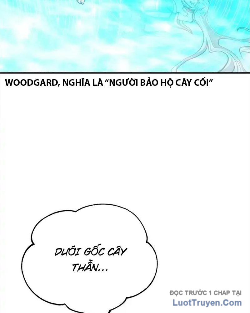 Tôi May Mắn Triệu Hồi Được Tinh Linh Hộ Vệ Hạng 10 Chapter 37 - 118