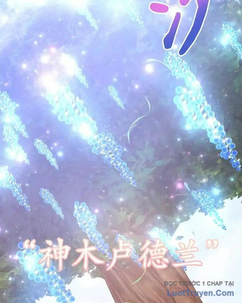 Tôi May Mắn Triệu Hồi Được Tinh Linh Hộ Vệ Hạng 10 Chapter 37 - 100