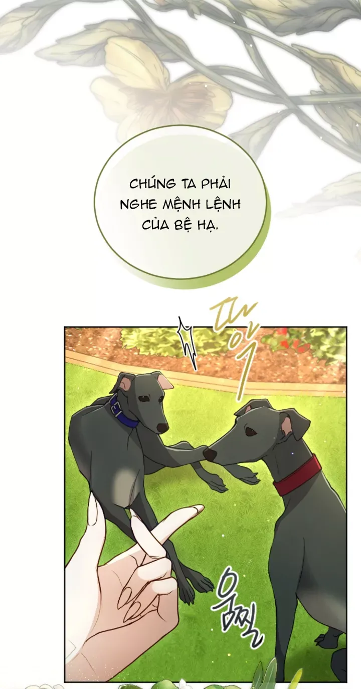 Tôi Sẽ Bị Trừ Khử Cùng Hoàng Đế Chapter 121.1 - 31