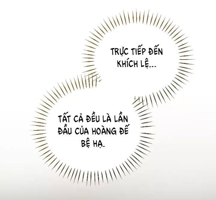 Tôi Sẽ Bị Trừ Khử Cùng Hoàng Đế Chapter 99.2 - 17