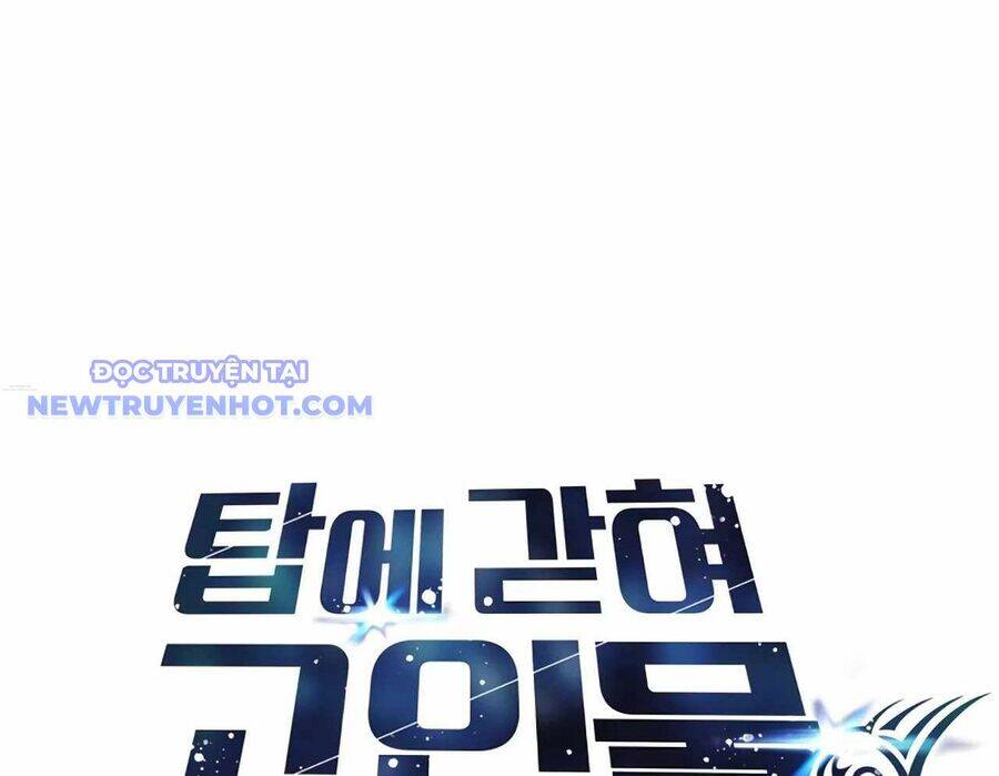 Mắc Kẹt Trong Tòa Tháp Thử Thách Chapter 103 - 26