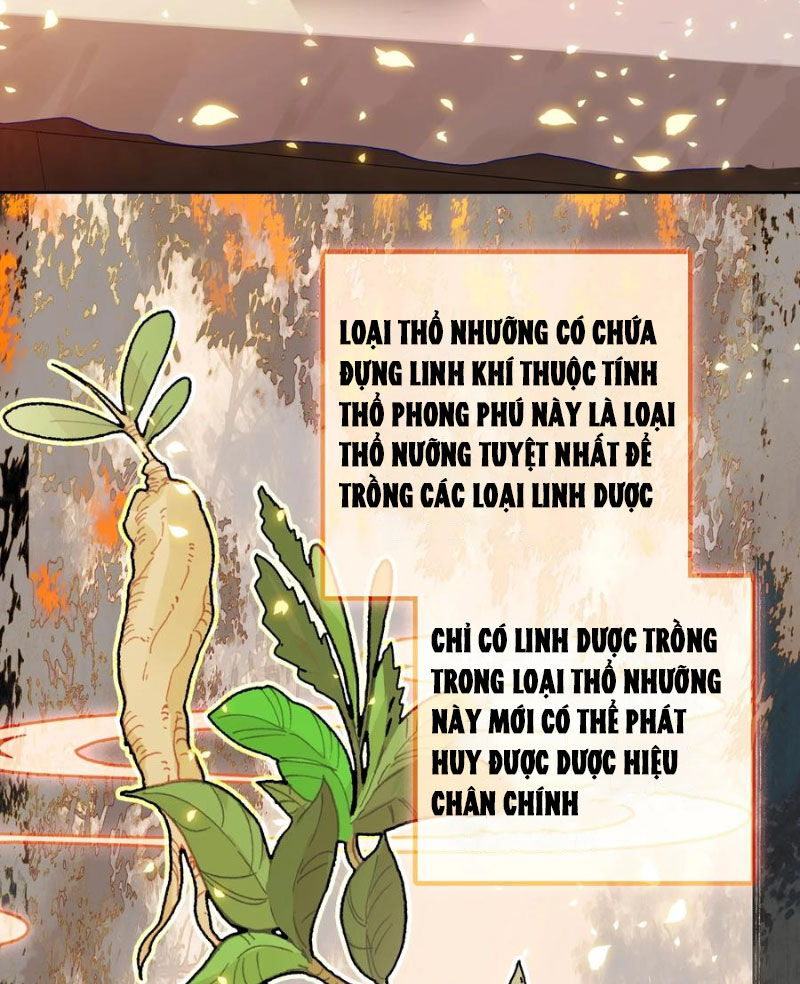 Ta Đây Chính Là Tuyệt Thế Cao Thủ Chapter 65 - 71