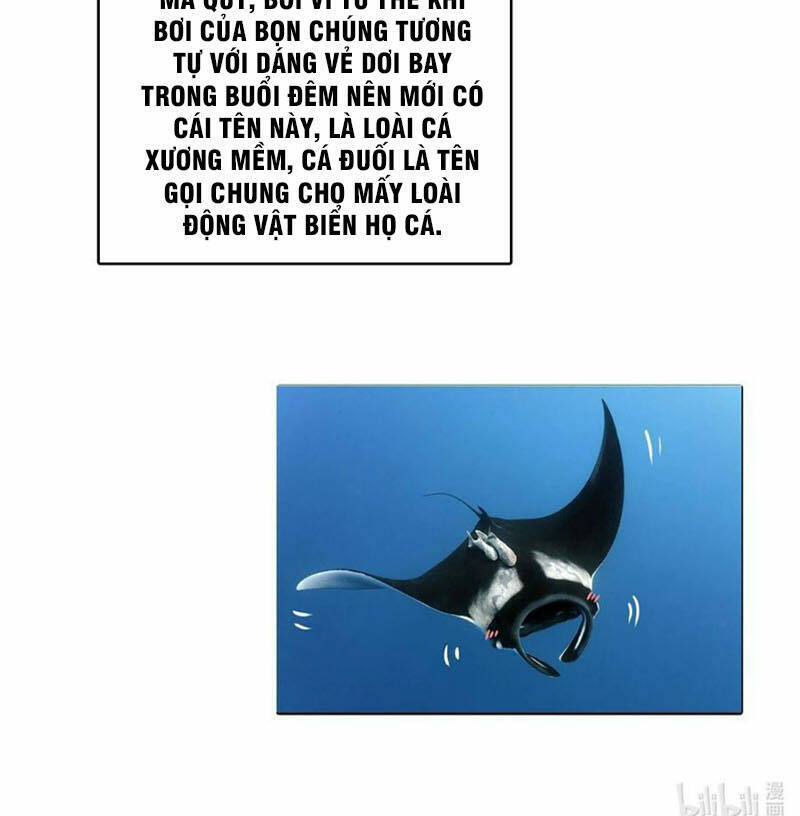 Ta Đây Chính Là Tuyệt Thế Cao Thủ Chapter 28 - 85