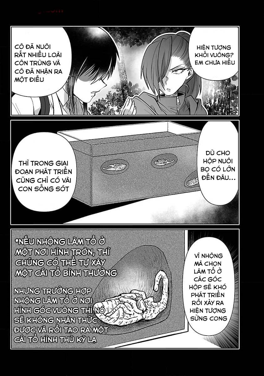 Dãy Núi Côn Trùng Chapter 53 - 14