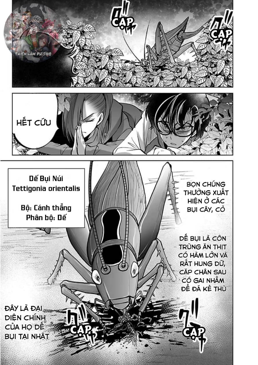 Dãy Núi Côn Trùng Chapter 55 - 14