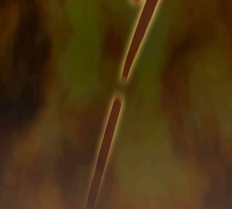 Ma Pháp Sư Tại Trường Học Pháp Thuật Chapter  105 - 47