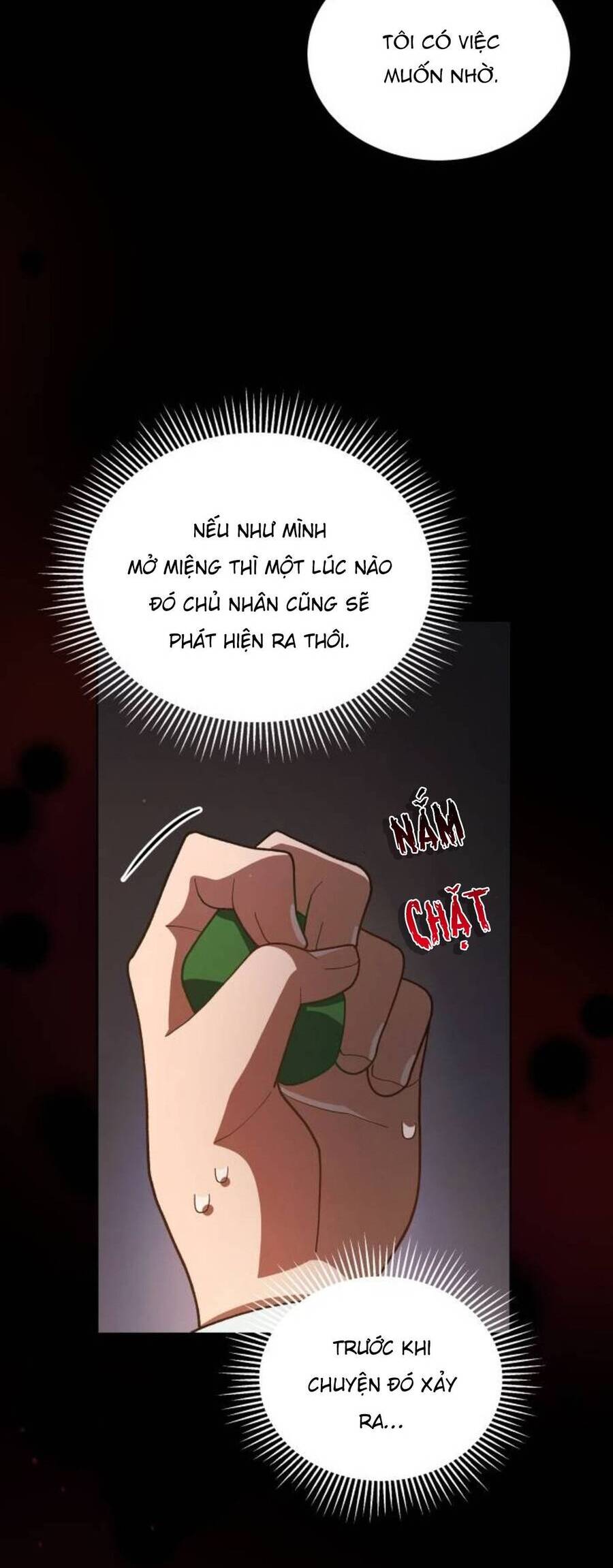 Tôi Đã Quyến Rũ Vị Công Tước Dối Trá Chapter 22.1 - 14