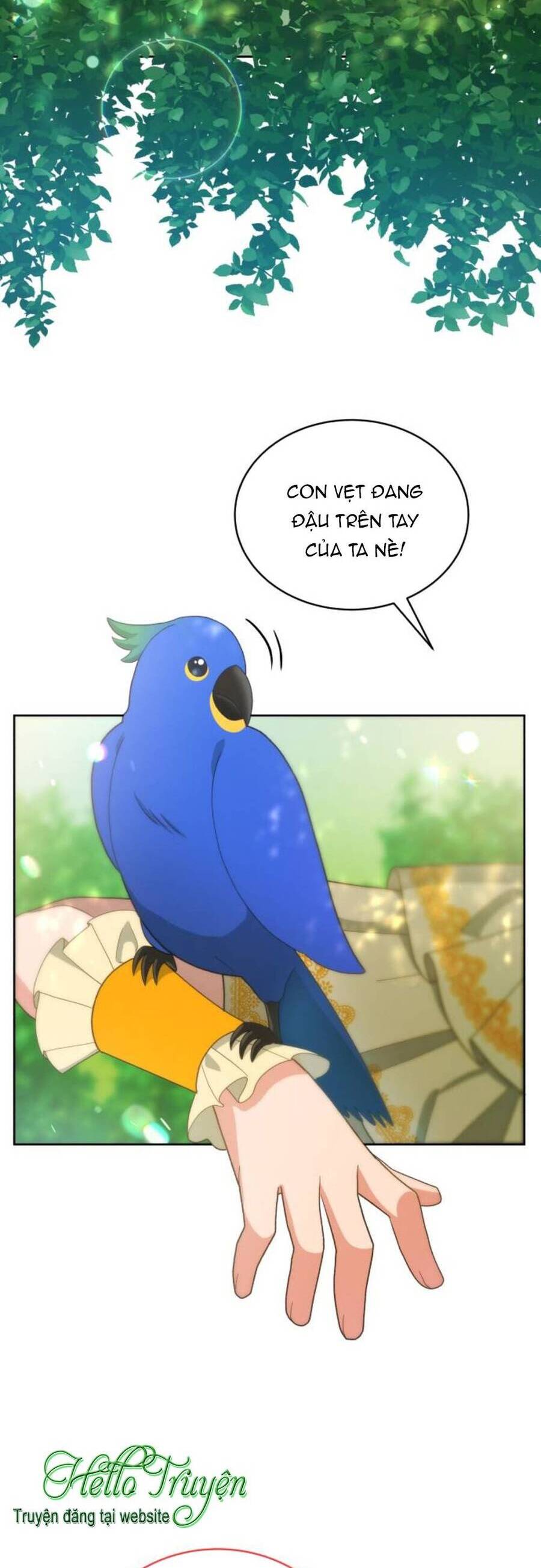 Tôi Đã Quyến Rũ Vị Công Tước Dối Trá Chapter 39.2 - 9