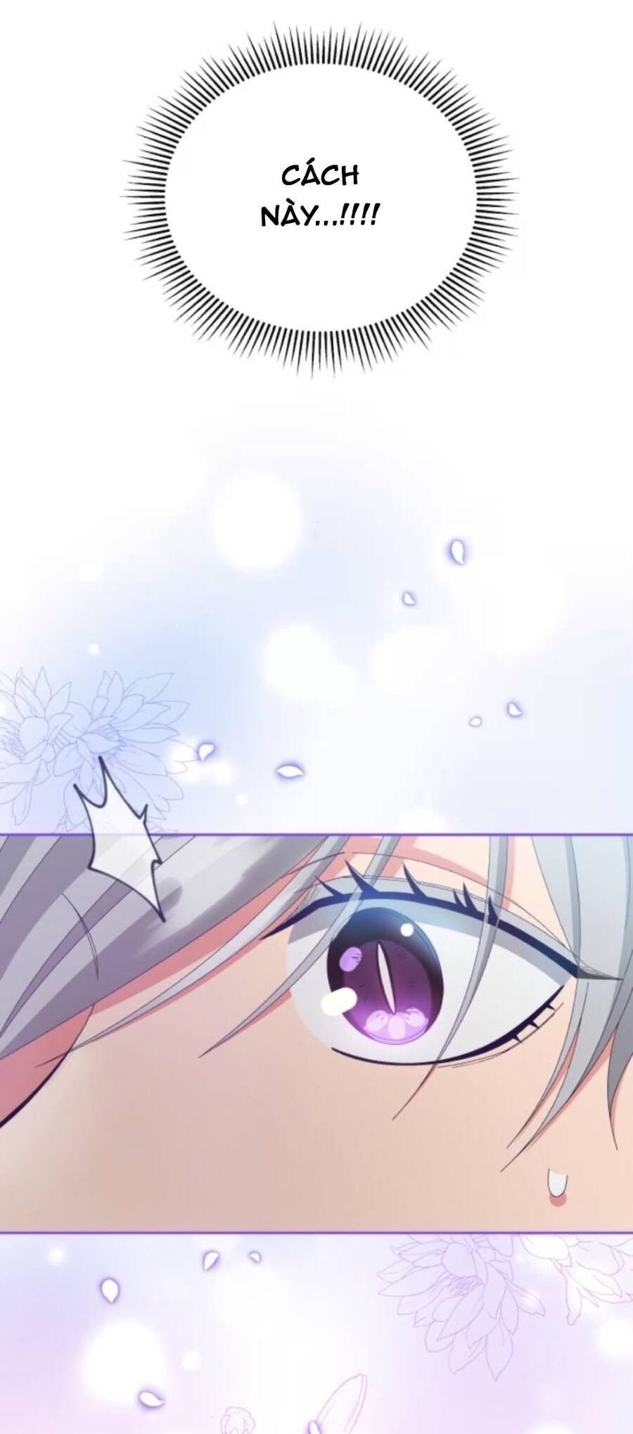 Tôi Đã Quyến Rũ Vị Công Tước Dối Trá Chapter 5 - 53