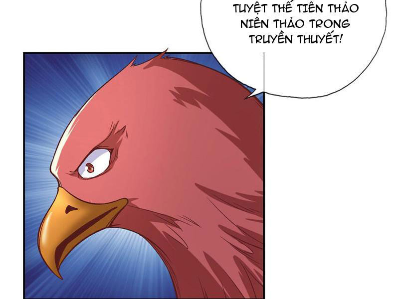 Ta Có Thể Đốn Ngộ Vô Hạn Chapter 72 - 27