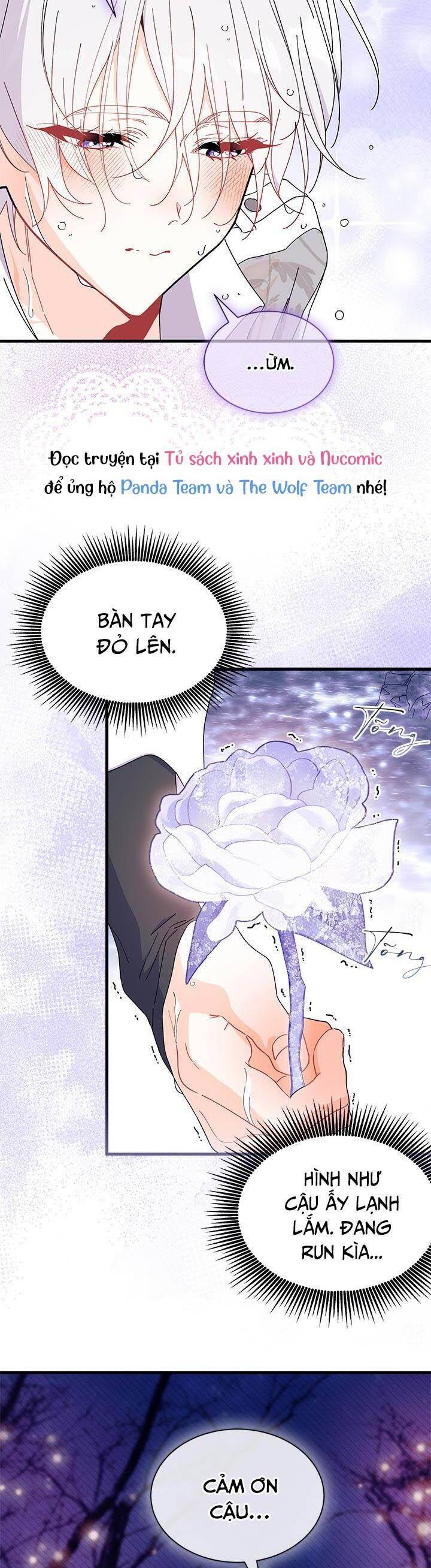 Tôi Không Muốn Làm Người Mai Mối Chapter 67 - 17