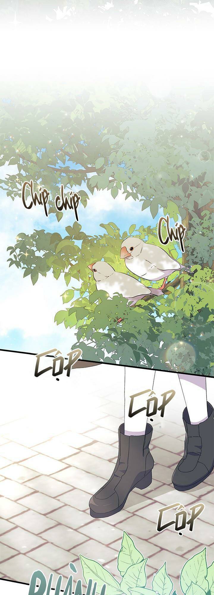 Tôi Không Muốn Làm Người Mai Mối Chapter 59 - 63
