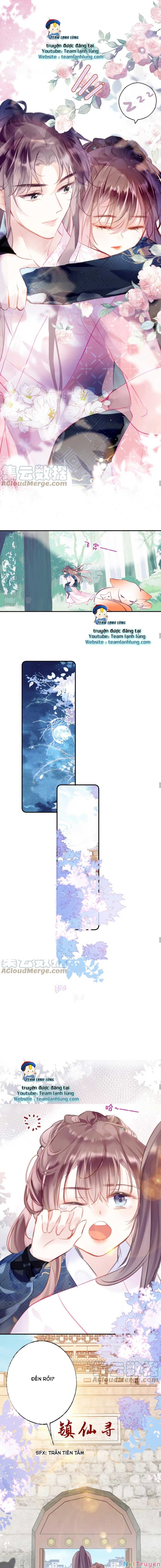 Vi Phu Của Ta Là Long Ngạo Thiên Phần 2 Chapter 19 - 12