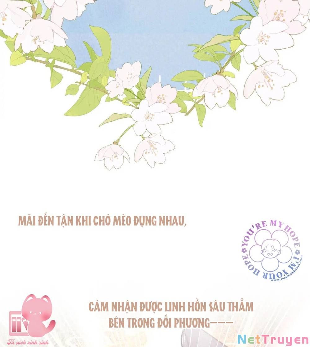 Vi Phu Của Ta Là Long Ngạo Thiên Phần 2 Chapter 32 - 12