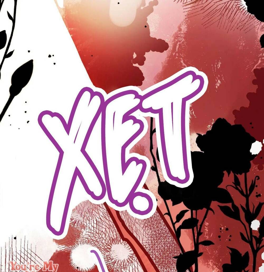 Vi Phu Của Ta Là Long Ngạo Thiên Phần 2 Chapter 46 - 66