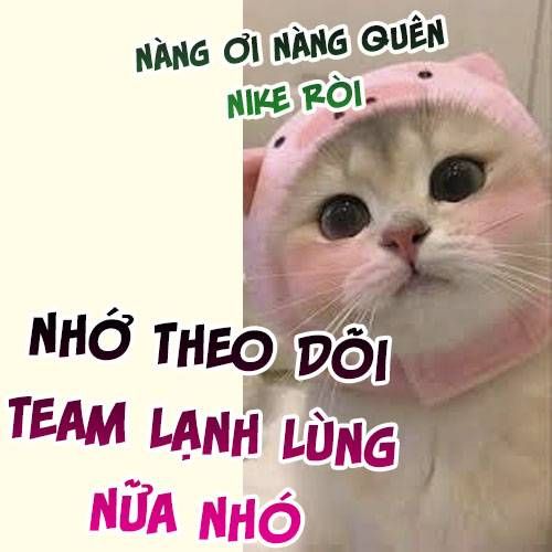 Vi Phu Của Ta Là Long Ngạo Thiên Phần 2 Chapter 49 - 6