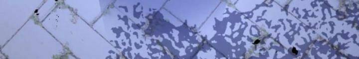 Ta Nuôi Quỷ Ở Trấn Ma Ty Chapter 233 - 73