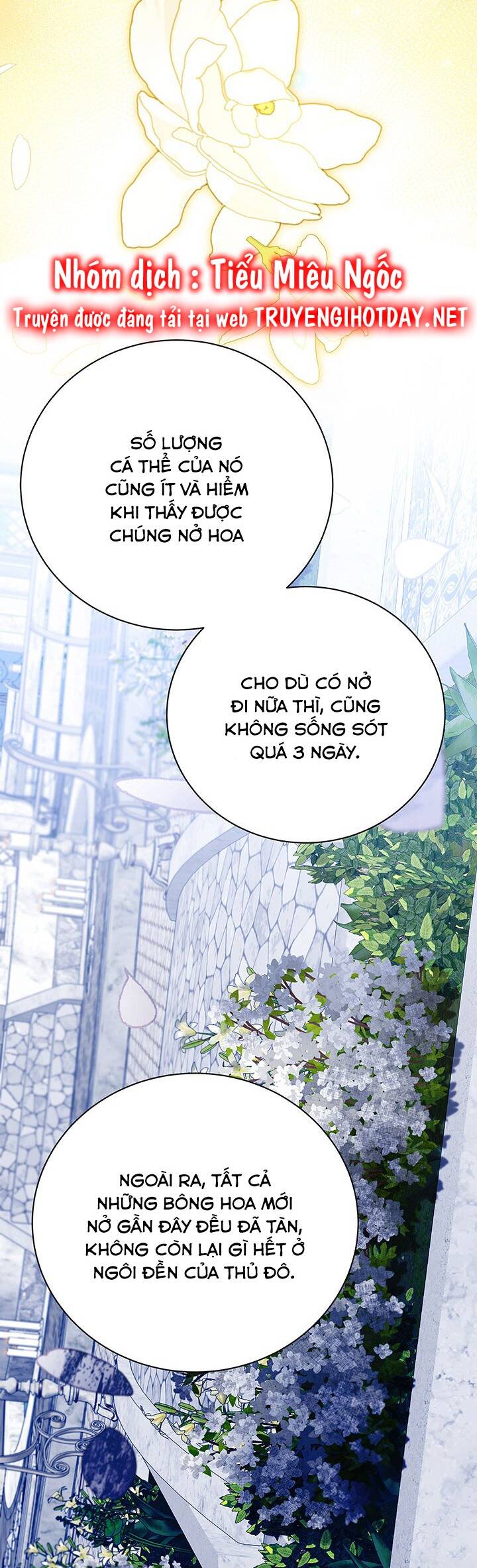 Tôi Sẽ Không Hối Tiếc Vì Anh Đâu Chapter 122 - 33