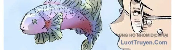 Sắp Xuất Ngũ Thì Isekai Chapter 166 - 256