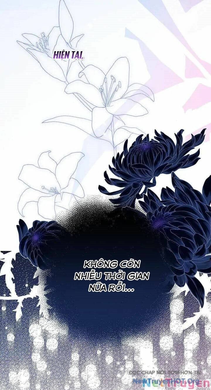 Sigrid Chapter 46 - 56