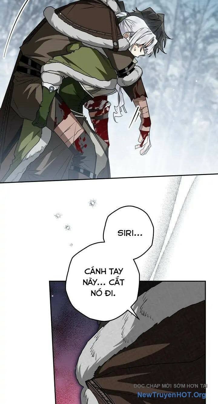 Sigrid Chapter 62 - 64