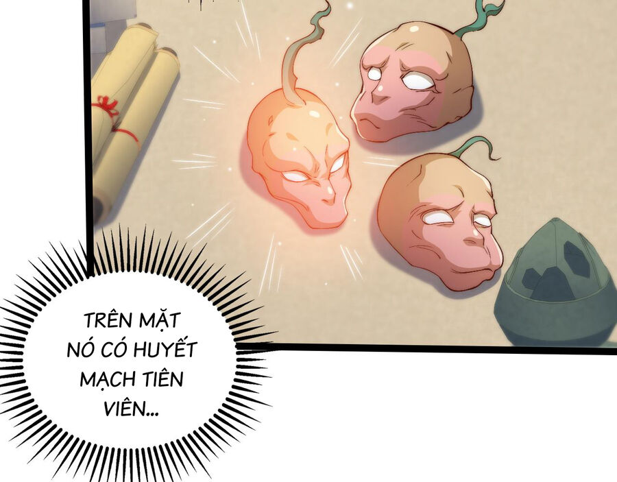 Mình Ta Thôn Phệ Thiên Địa Chapter 14 - 17