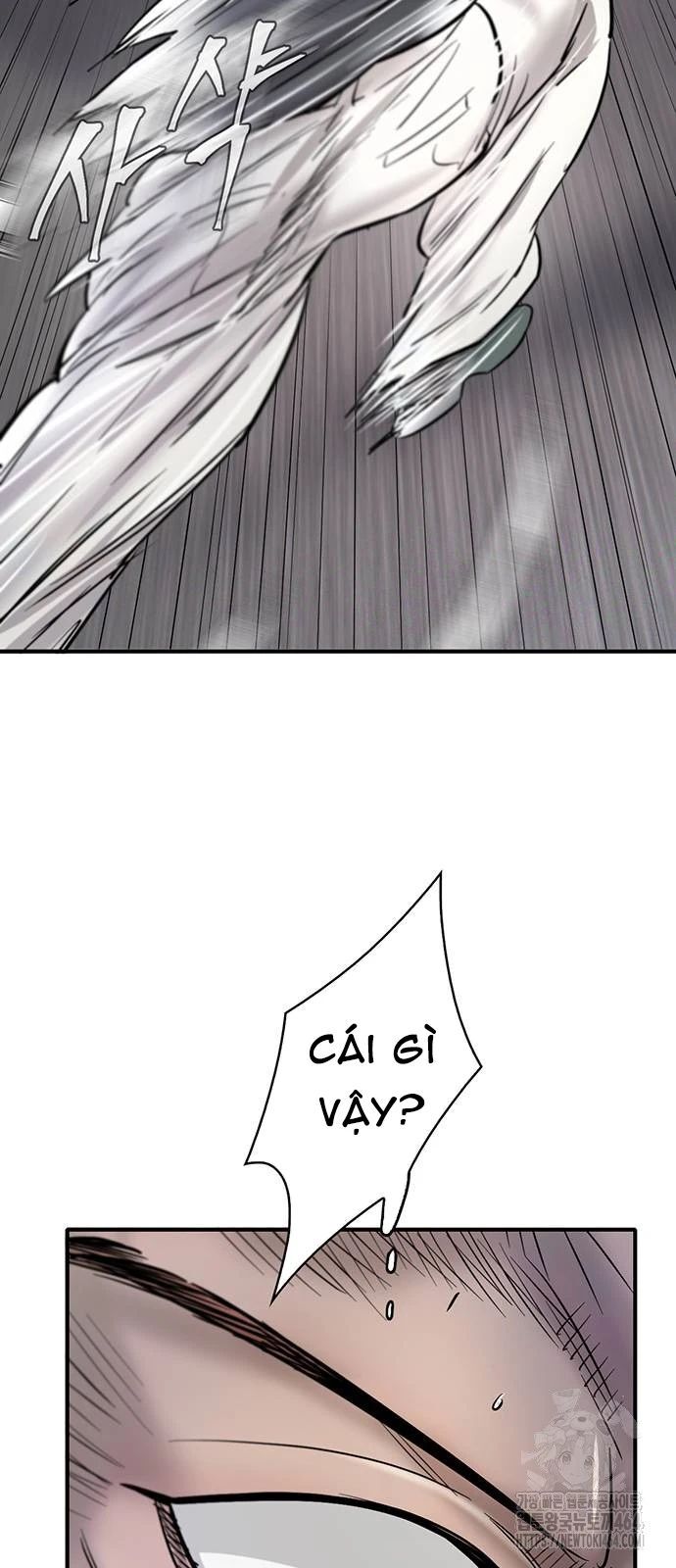 Bù Nhìn Chapter 96 - 28