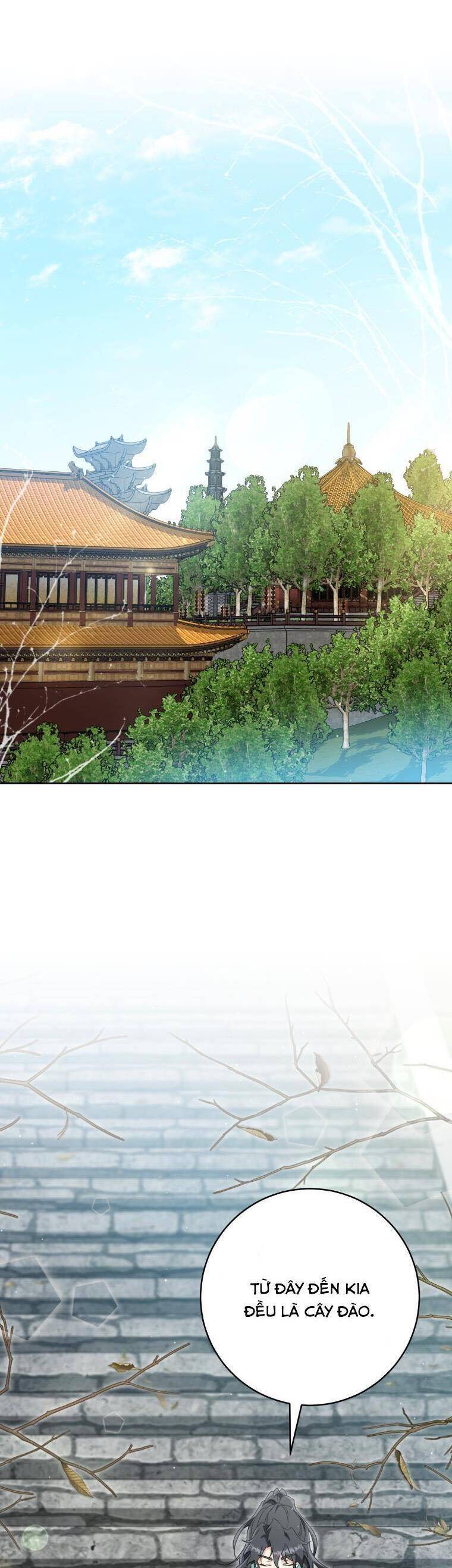 Trở Thành Cô Cháu Gái Bị Khinh Miệt Của Gia Tộc Võ Lâm. Chapter 80 - 13