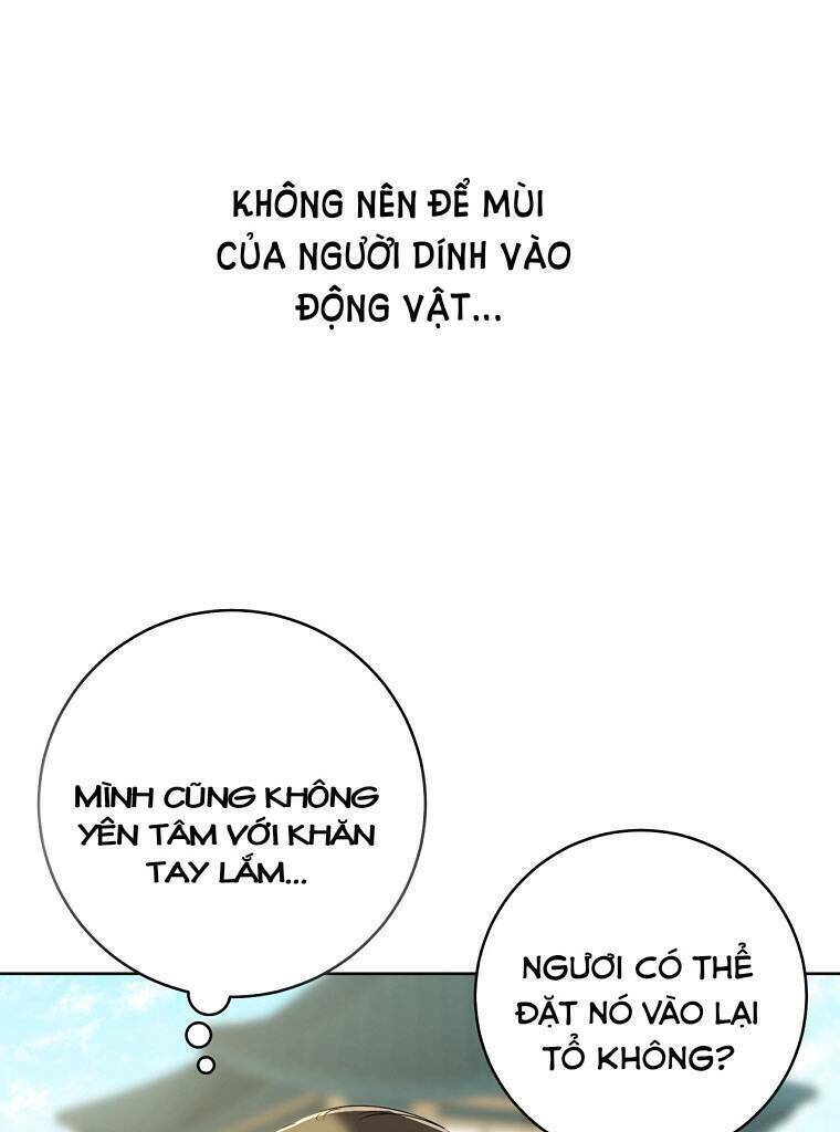 Trở Thành Cô Cháu Gái Bị Khinh Miệt Của Gia Tộc Võ Lâm. Chapter 18 - 40