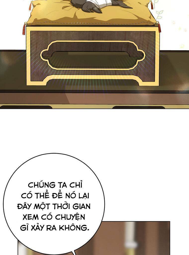 Trở Thành Cô Cháu Gái Bị Khinh Miệt Của Gia Tộc Võ Lâm. Chapter 19 - 29